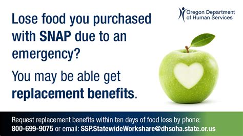 SNAP benefits replacement process